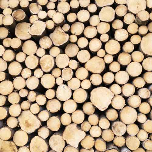 Okrasné dreviny | Farmárske produkty | Paulen